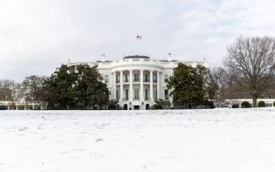 Let Not Thy Left Hand