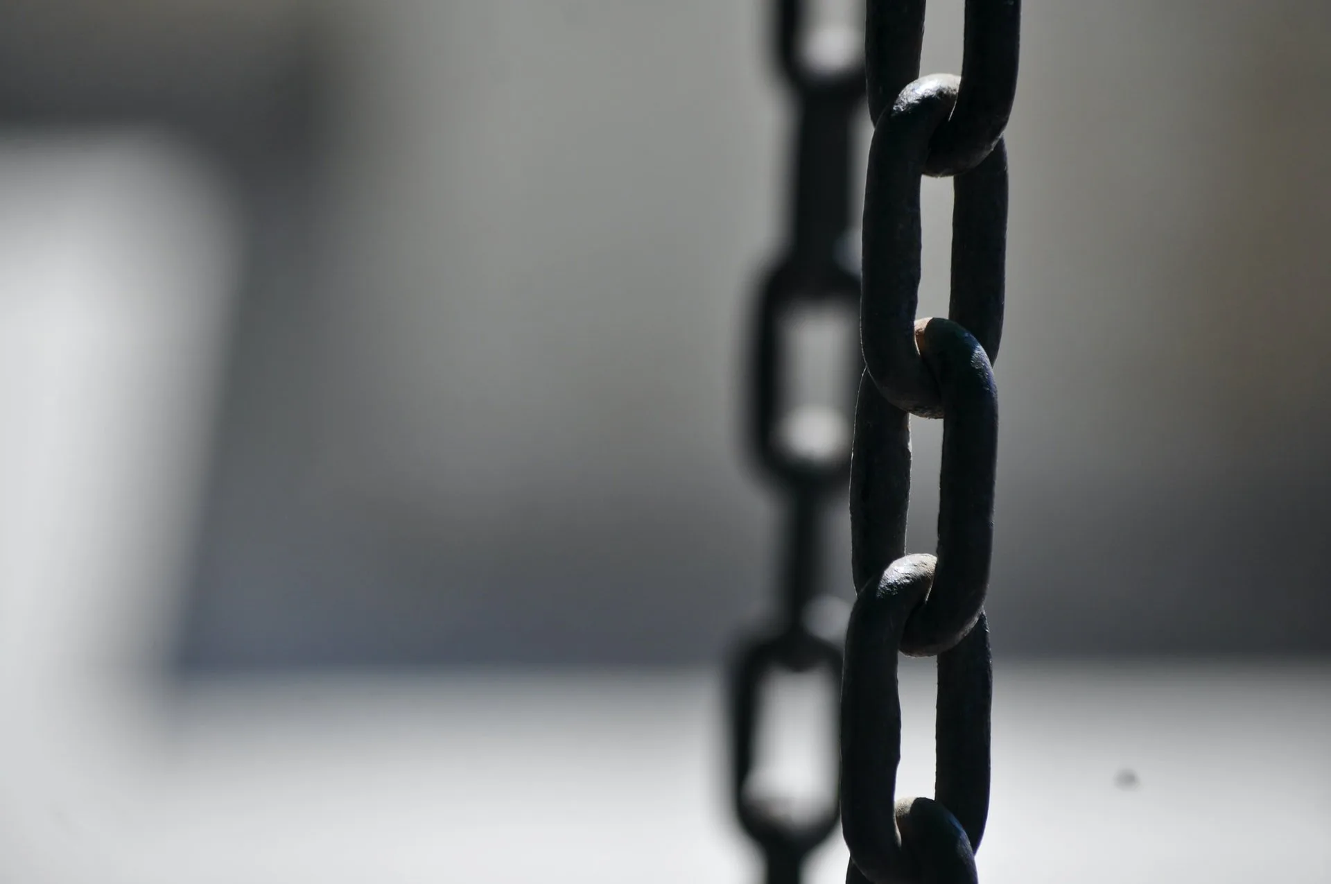 Slavery vs. Capitalism: The 1619 Project Not Only Ignores Actual History, But Basic Economics