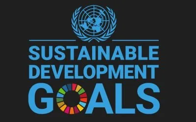 Renaming ESG Won’t Make It Go Away