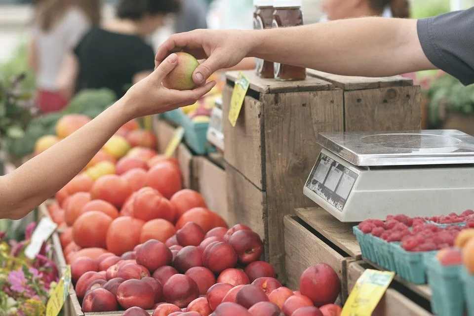 Minimum Wage Hurts Whom It Claims to Help