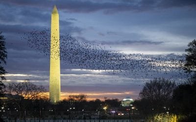 The Failure of Antitrust Policy