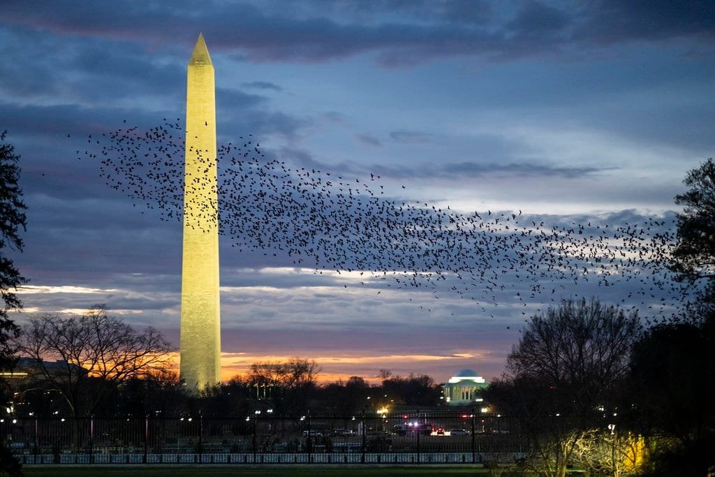 51898628900_6d90291f72_b