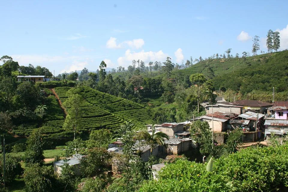 Sri Lanka: An Unnecessary Tragedy