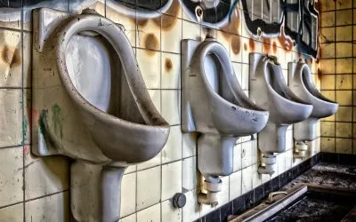 Cleaned by Capitalism and Soiled by Socialism
