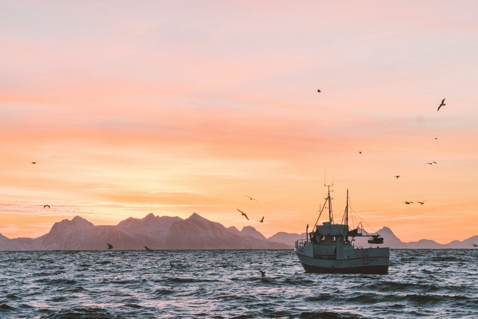 Unsplash white sailboat in body of water during sunset