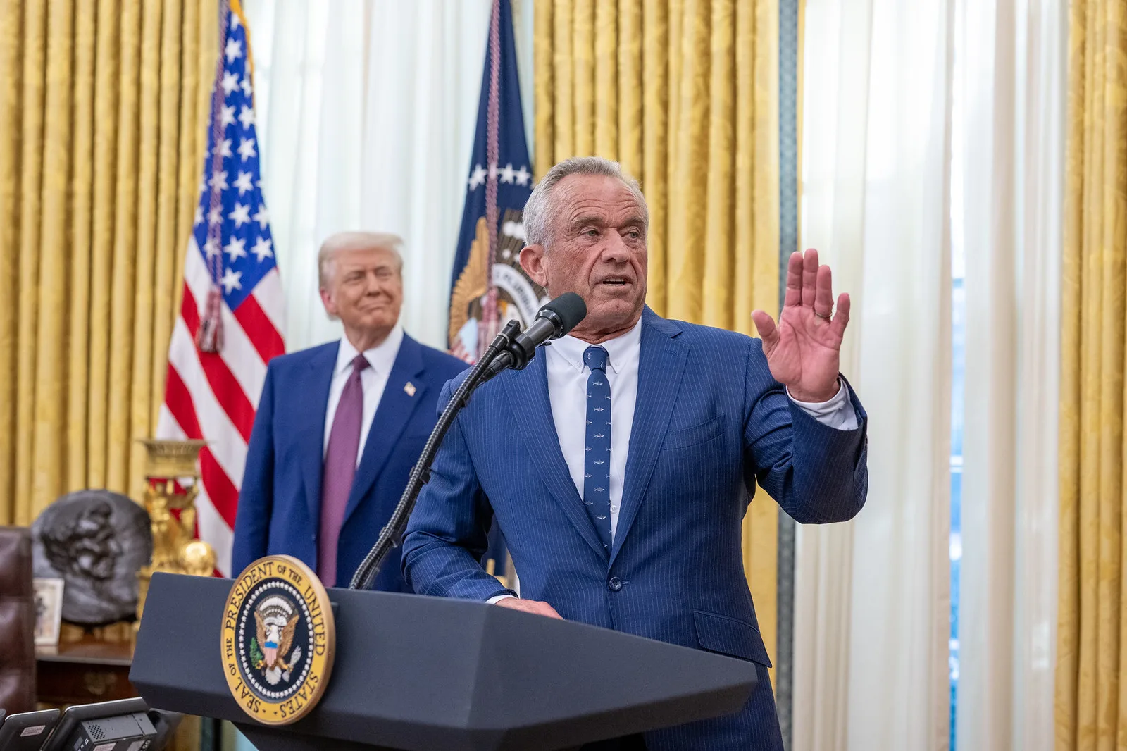 America Would Suffer Under RFK Jr.