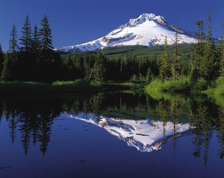 mount-hood-72366_1920