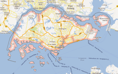 Singapore A Wise Owl Among Currency Snakes