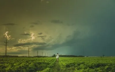 Brussels Bets the Farm